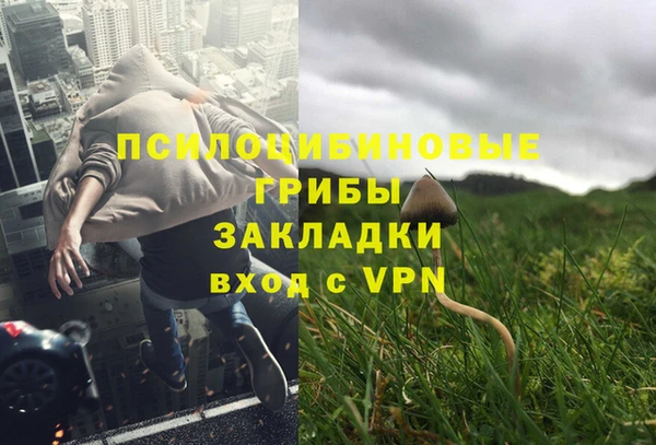 прущие крисы Абдулино