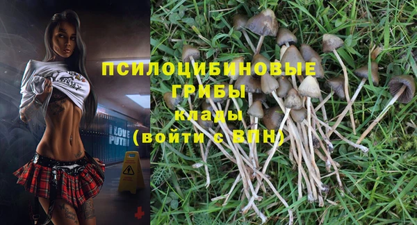 прущая мука Остров