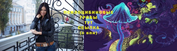 винт Абинск