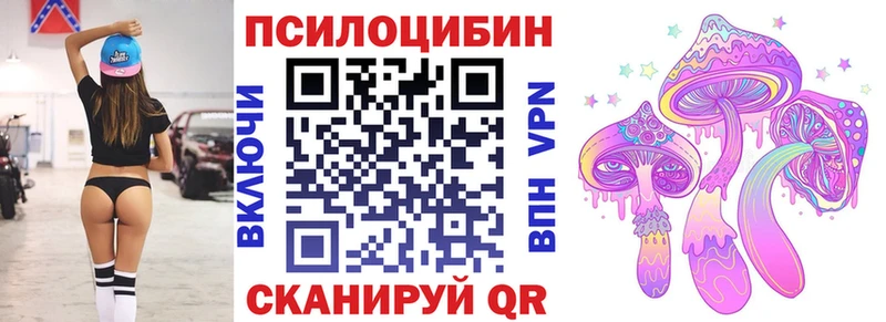 Псилоцибиновые грибы мухоморы  OMG маркетплейс  Заринск  купить наркотик 